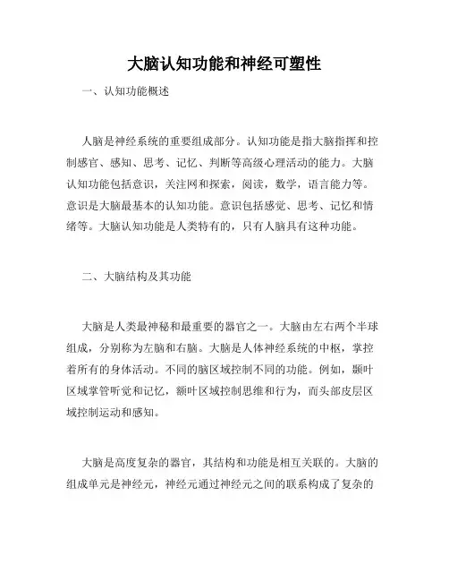 大脑认知功能和神经可塑性