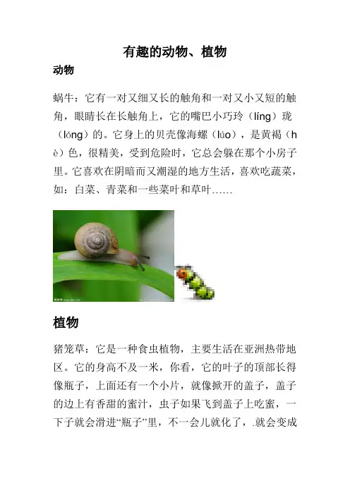 有趣的动物、植物 文档
