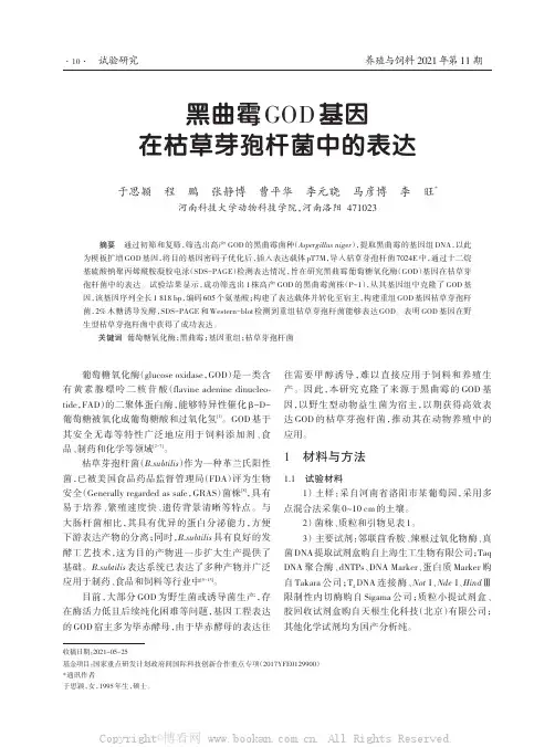 黑曲霉GOD基因在枯草芽孢杆菌中的表达