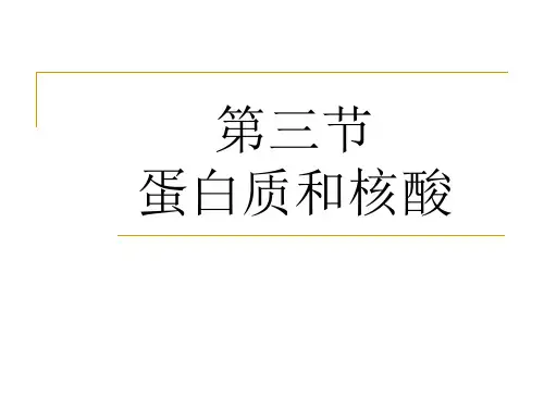 蛋白质和核酸