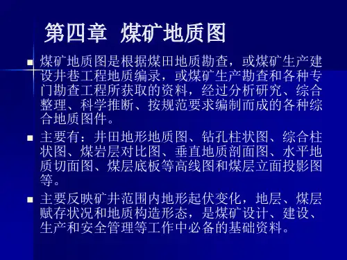 煤矿地质图