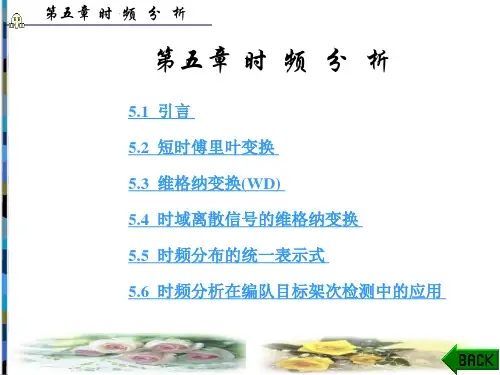 数字信号处理(丁玉美)第5章资料