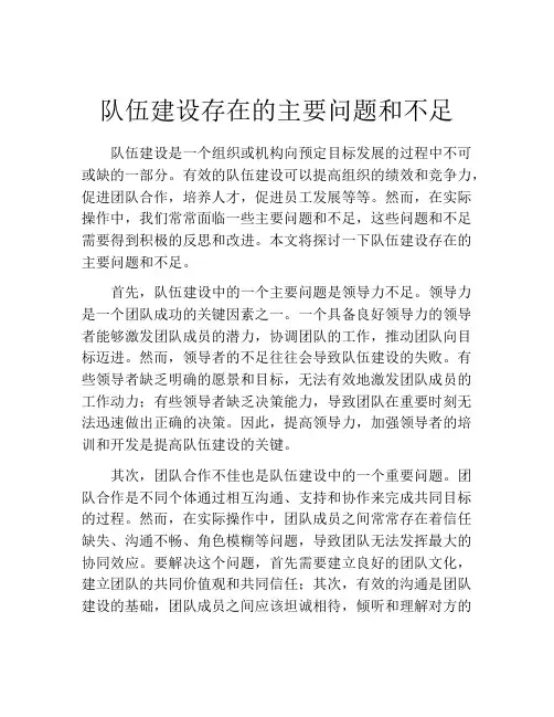 队伍建设存在的主要问题和不足