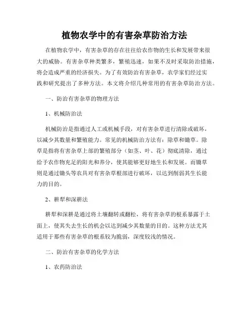 植物农学中的有害杂草防治方法