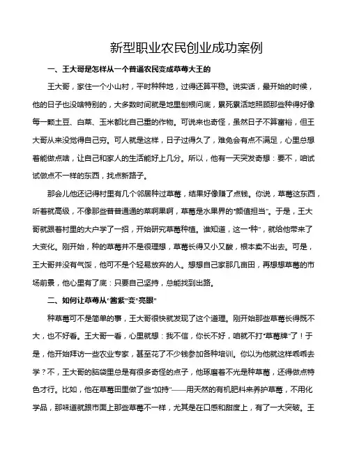 新型职业农民创业成功案例