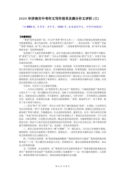 2020年济南市中考作文写作指导及满分作文评析(三)