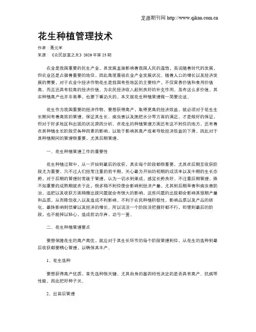 花生种植管理技术