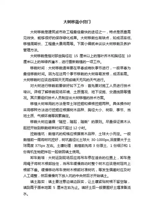 大树移栽小窍门