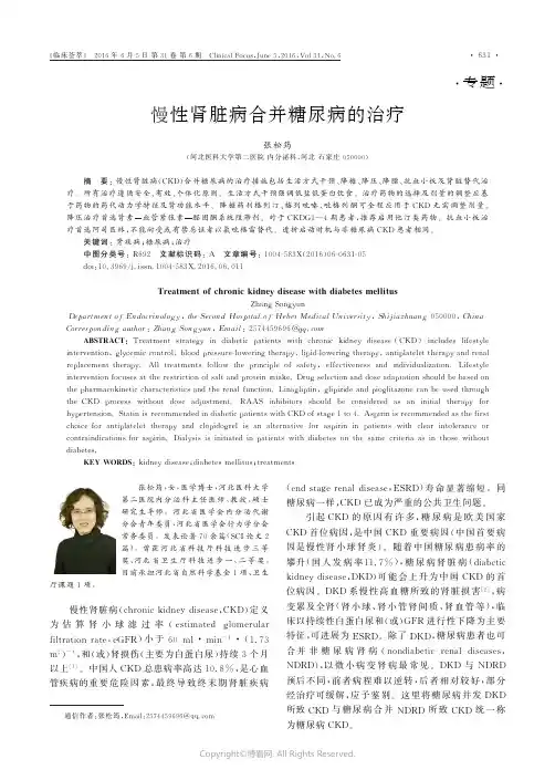 慢性肾脏病合并糖尿病的治疗