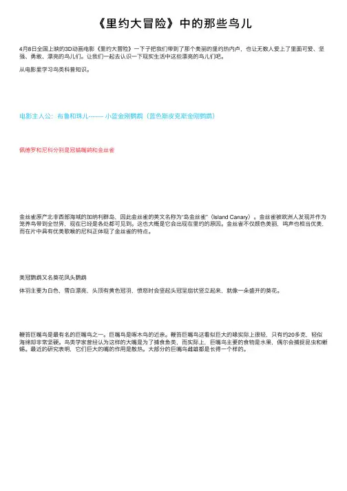 《里约大冒险》中的那些鸟儿