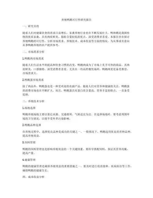 养殖鸭鹅可行性研究报告