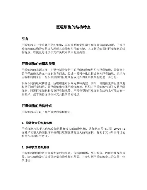 巨噬细胞的结构特点