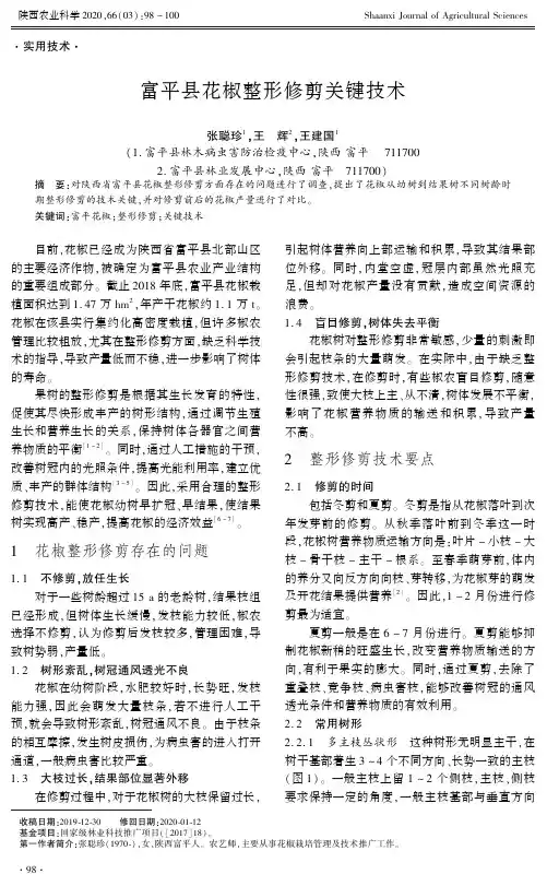 富平县花椒整形修剪关键技术