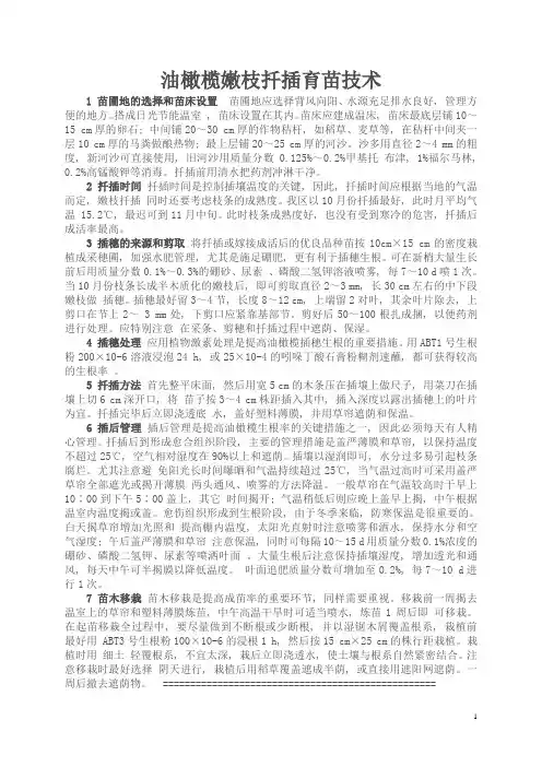 油橄榄育苗栽培技术