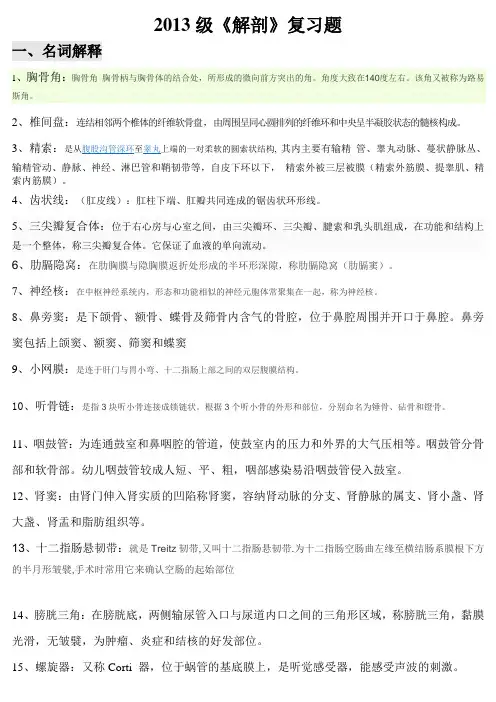 2013级《解剖》复习题