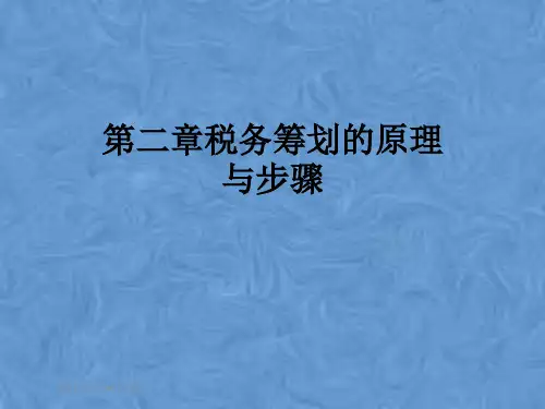 第二章税务筹划的原理与步骤