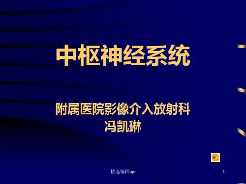神经康复ppt课件