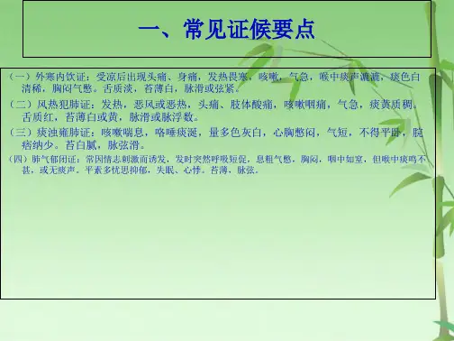 喘病中医护理方案(共17张PPT)