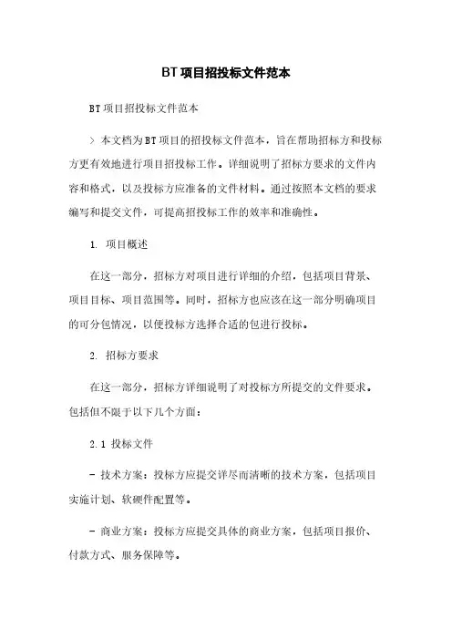 BT项目招投标文件范本简版