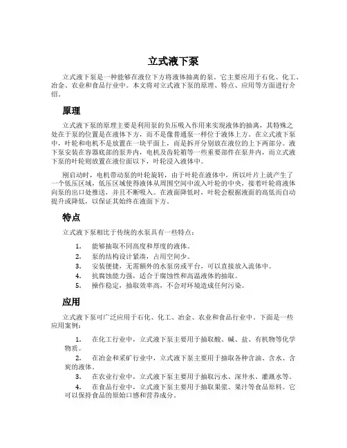 立式液下泵