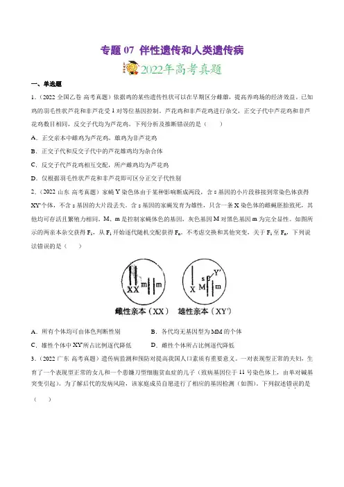 专题07伴性遗传和人类遗传病-三年(2020-2022)高考真题生物分项汇编(原卷版)