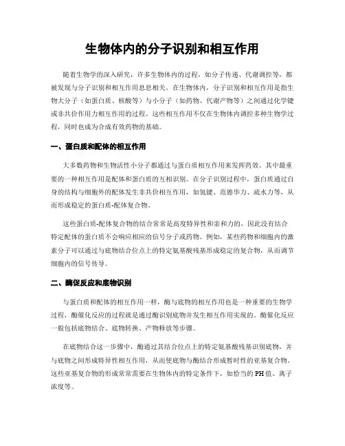 生物体内的分子识别和相互作用