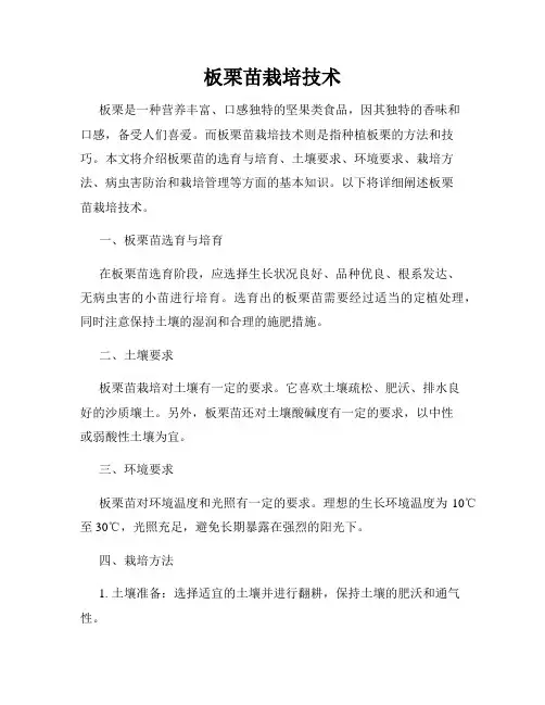 板栗苗栽培技术