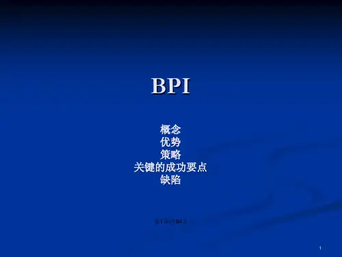 公司业务流程改进培训方法BPI