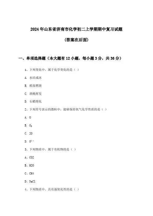 2024年山东省济南市初二上学期期中化学试题与参考答案