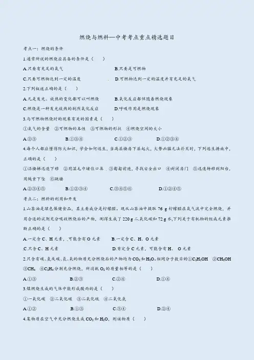 燃烧与燃料—化学中考考点重点精选题目