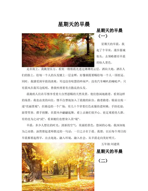 星期天的早晨(共10篇)