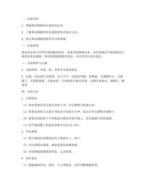 果皮细菌实验报告