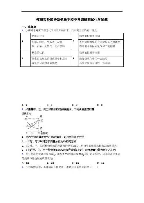 郑州市外国语新枫杨学校中考调研测试化学试题