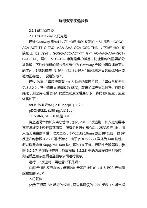 酵母双杂实验步骤