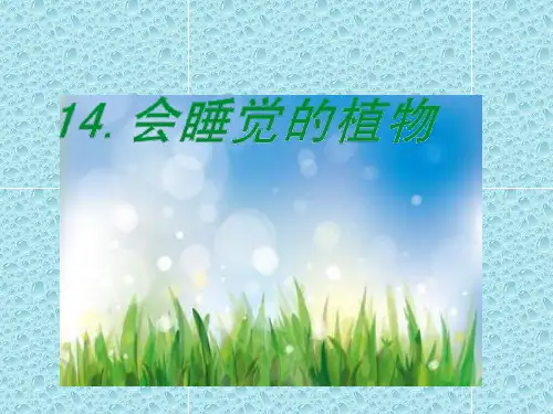 【苏教版】2021年春季一年级下册：第14课《会睡觉的植物》ppt课件