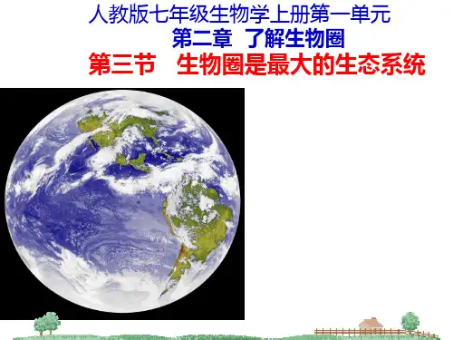 1.2.3生物圈是最大的生态系统 (共39张PPT)