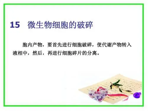 微生物细胞的破碎