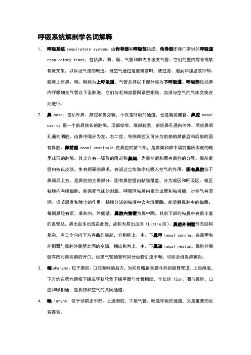 呼吸系统常用的解剖名解