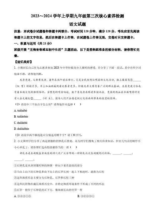河南省许昌市2023-2024学年九年级上学期第三次月考语文试题(原卷版)
