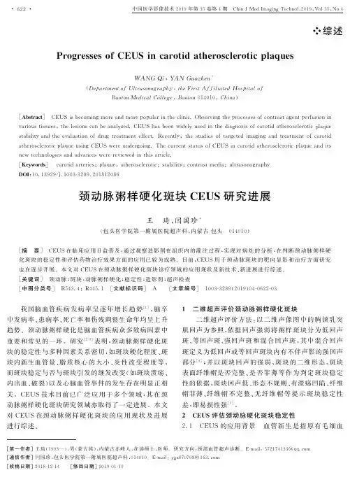 颈动脉粥样硬化斑块CEUS研究进展