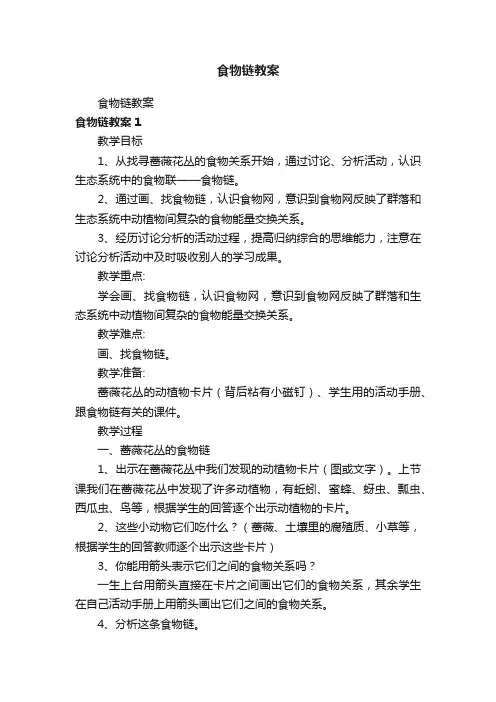 食物链教案