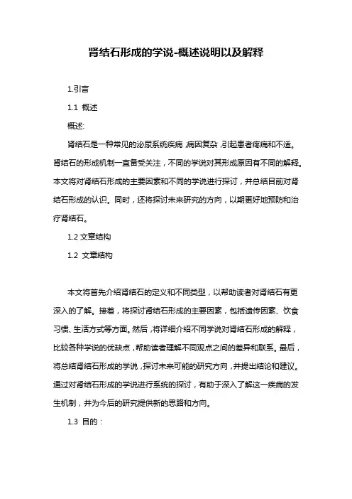肾结石形成的学说-概述说明以及解释