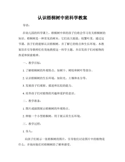 认识梧桐树中班科学教案