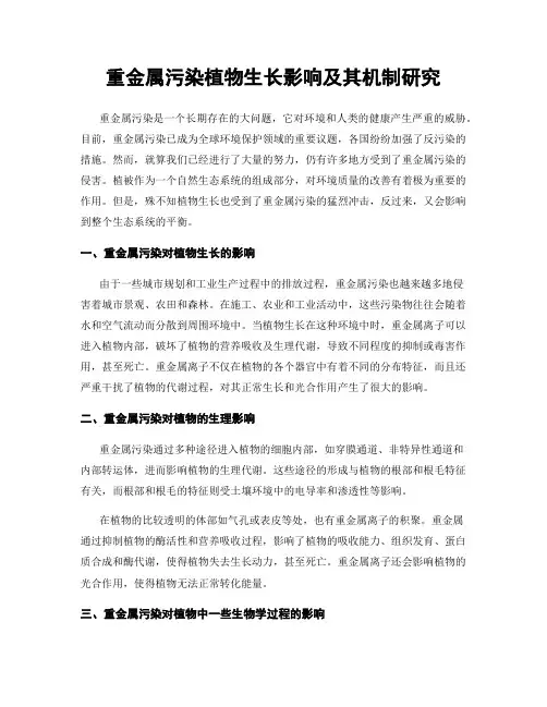 重金属污染植物生长影响及其机制研究