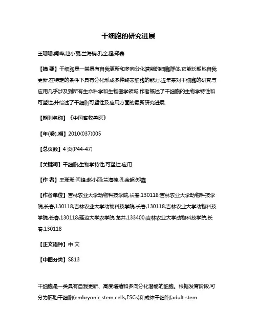 干细胞的研究进展