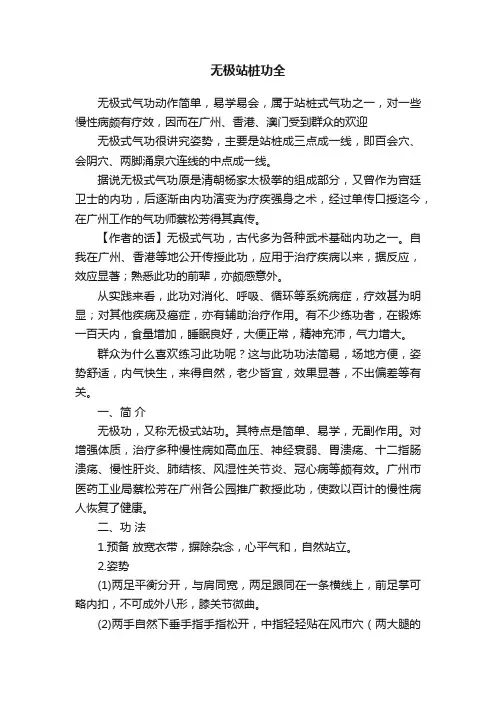 无极站桩功全