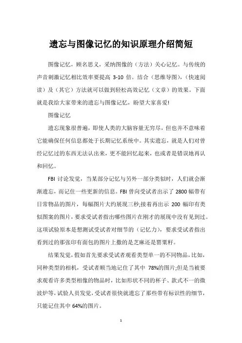 遗忘与图像记忆的知识原理介绍简短