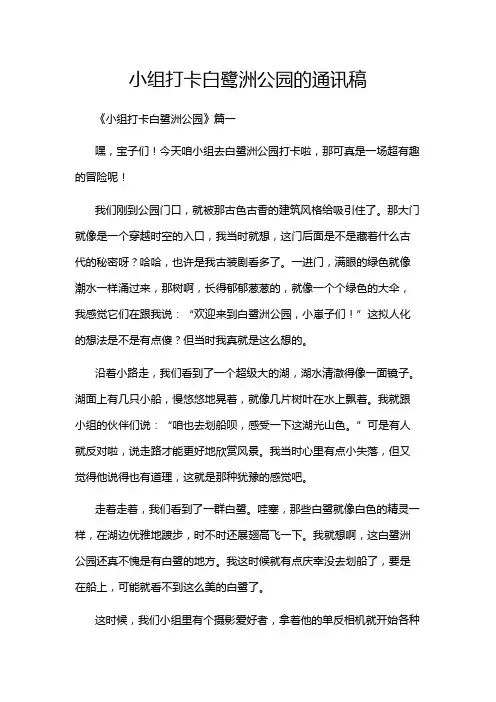 小组打卡白鹭洲公园的通讯稿