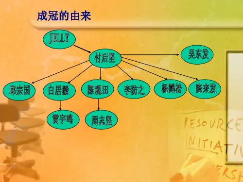 安利最大团队成冠系统的建设体系