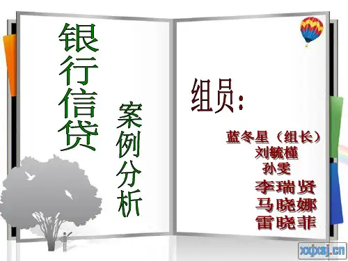 银行信贷案例分析-PPT文档资料